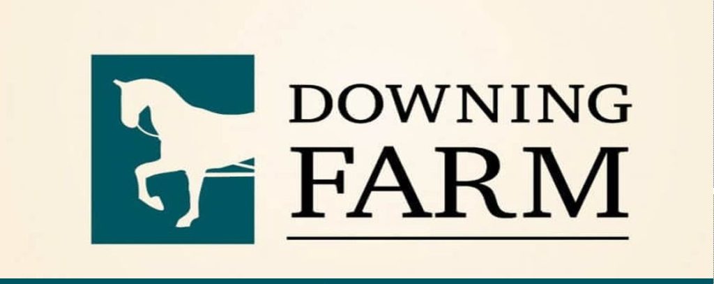 DOWNING COVER noHours